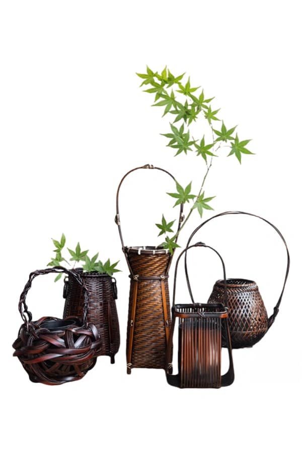 Bamboo Decor